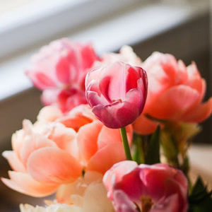 Meet your Posher, Gizelle